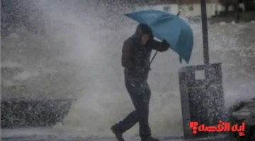 إلبسوا تقيل.. منخفض جوي شديد في مصر وموعد ذروة الطقس وتحسنه